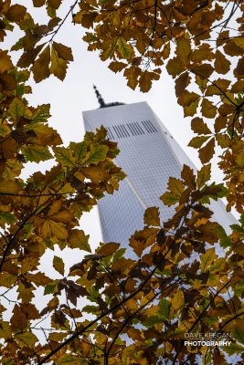 Autumn in New York. Taken from the 911 memorial, October 2019